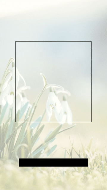 The Spring Market is Here-low