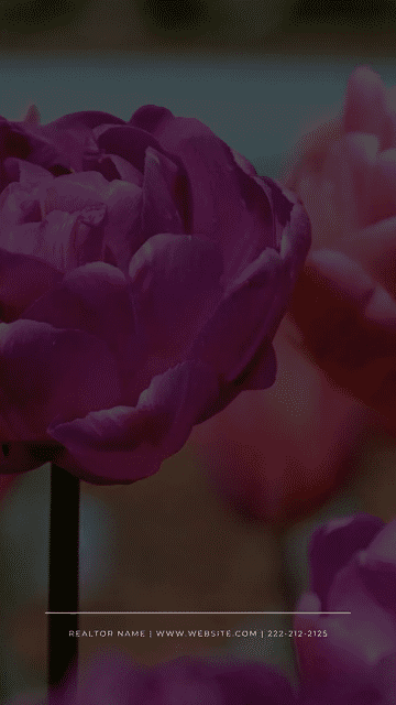 JUNE 15 REEL